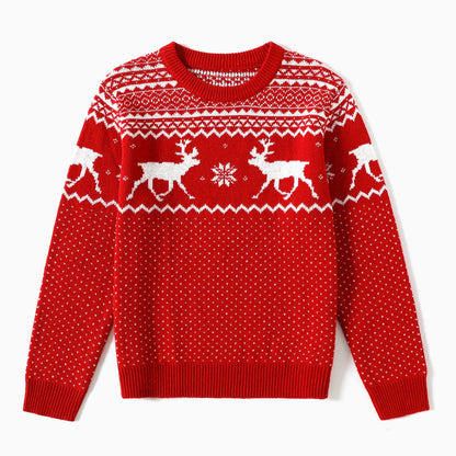 Norweger Pullover Familie