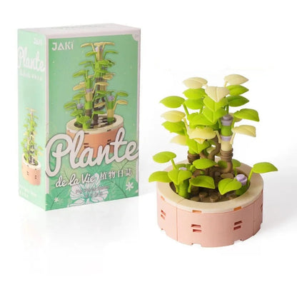 Geschenk Einzug Haus Familie